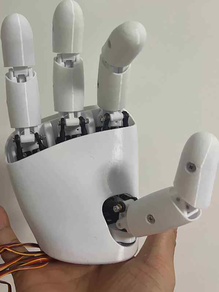 Mano Robotica AmazingHand 8 DO - 3D Printing Robot recensione e prezzo