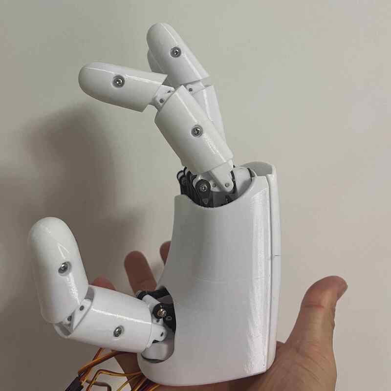 Mano Robotica AmazingHand 8 DO - 3D Printing Robot recensione e prezzo