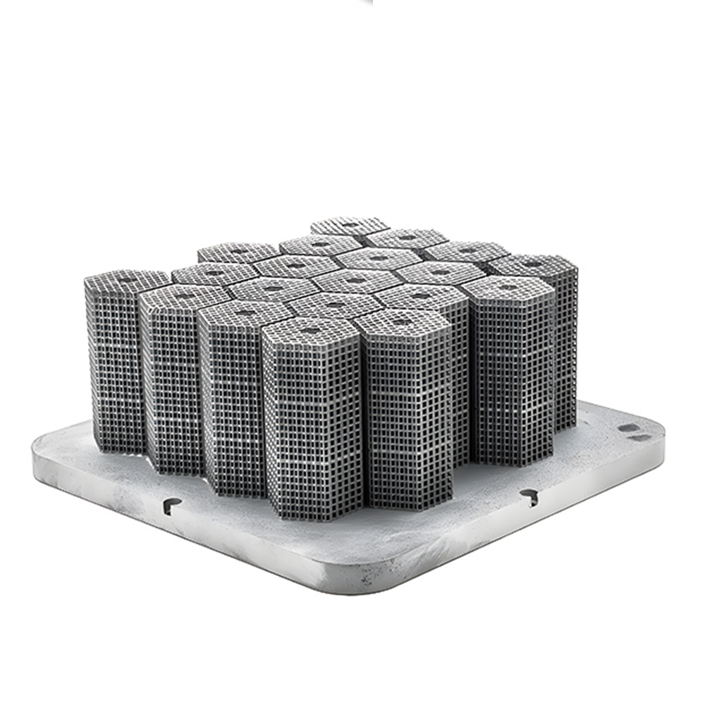 Servizi di stampa 3D SLM perso - 3D Printing Titanium recensione e prezzo